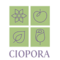 CIOPORA